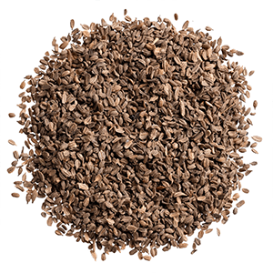 Cassia Tora Seeds
